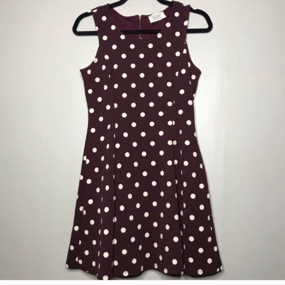 Crescent Maroon and White Polka Dot Sleeveless Skater Dress